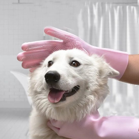 Gant de toilettage
