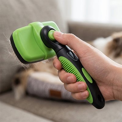 Brosse chien 