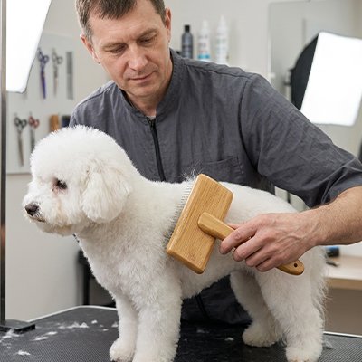 Brosse pour Chien 