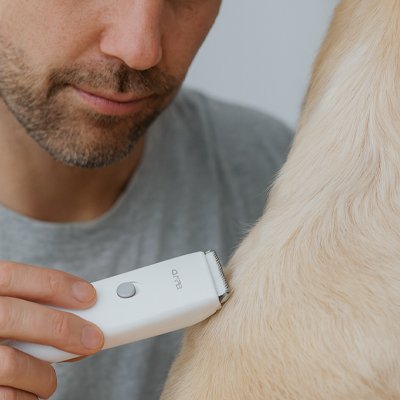 Tondeuse pour chien